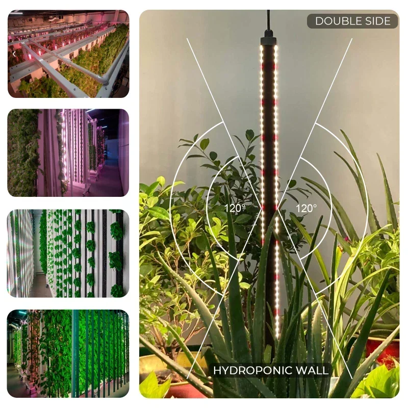 LM301H LM301B Hydroponische LE – Led Plant Light Strip Bewertung und Preis