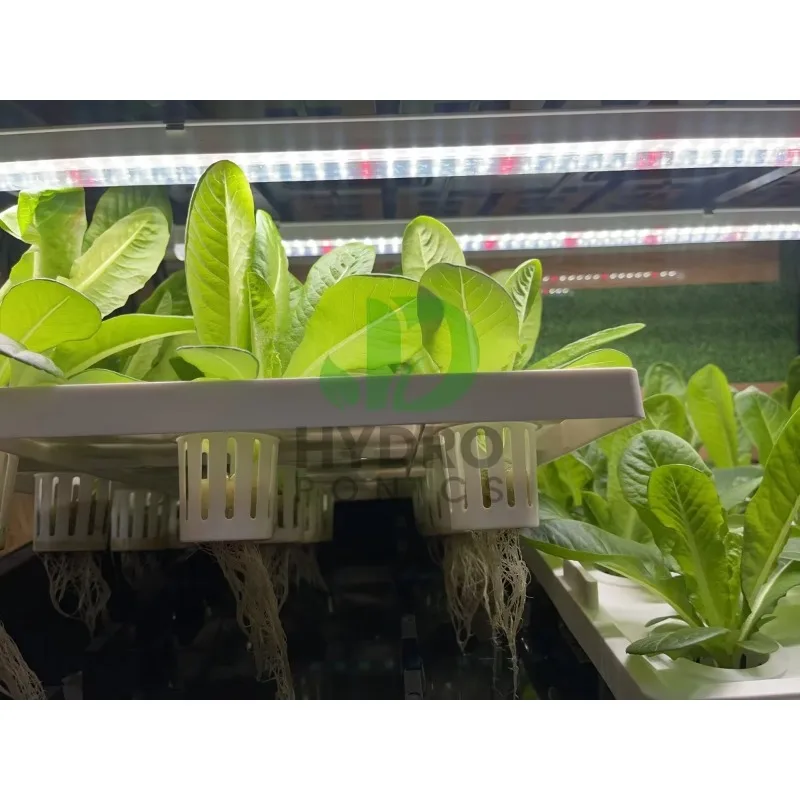Hydroponic-Schrank-Wachstumsse – Aquaponics Home Kit Bewertung und Preis