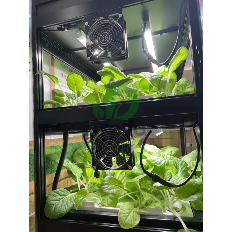 Hydroponic-Schrank-Wachstumsse – Aquaponics Home Kit Bewertung und Preis