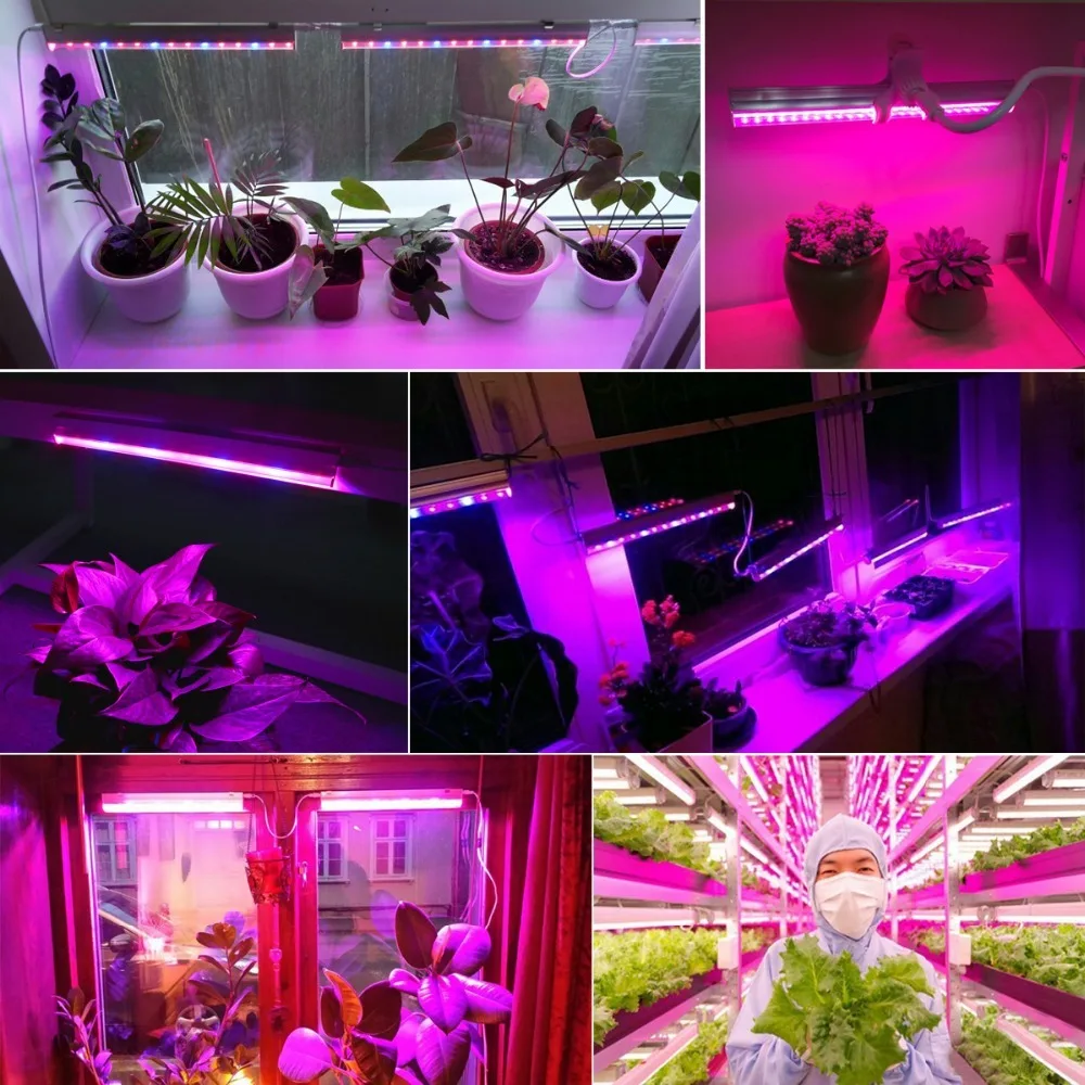 12 Zoll LED Pflanzenwachstumsl – Led Plant Light Strip Bewertung und Preis