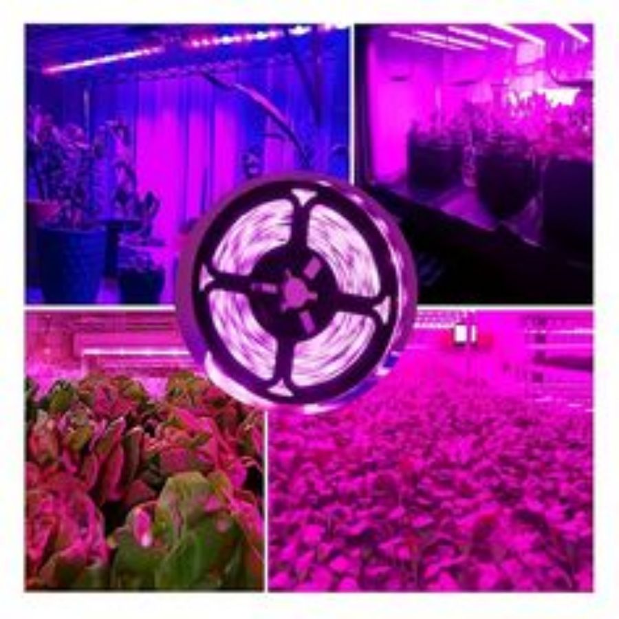 1M/2M/3M/5M/10M LED Vollspektr – Led Plant Light Strip Bewertung und Preis