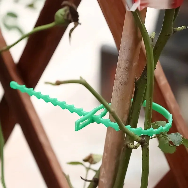 Wiederverwendbare Garten-Kabel – Smart Garden Storage Bewertung und Preis