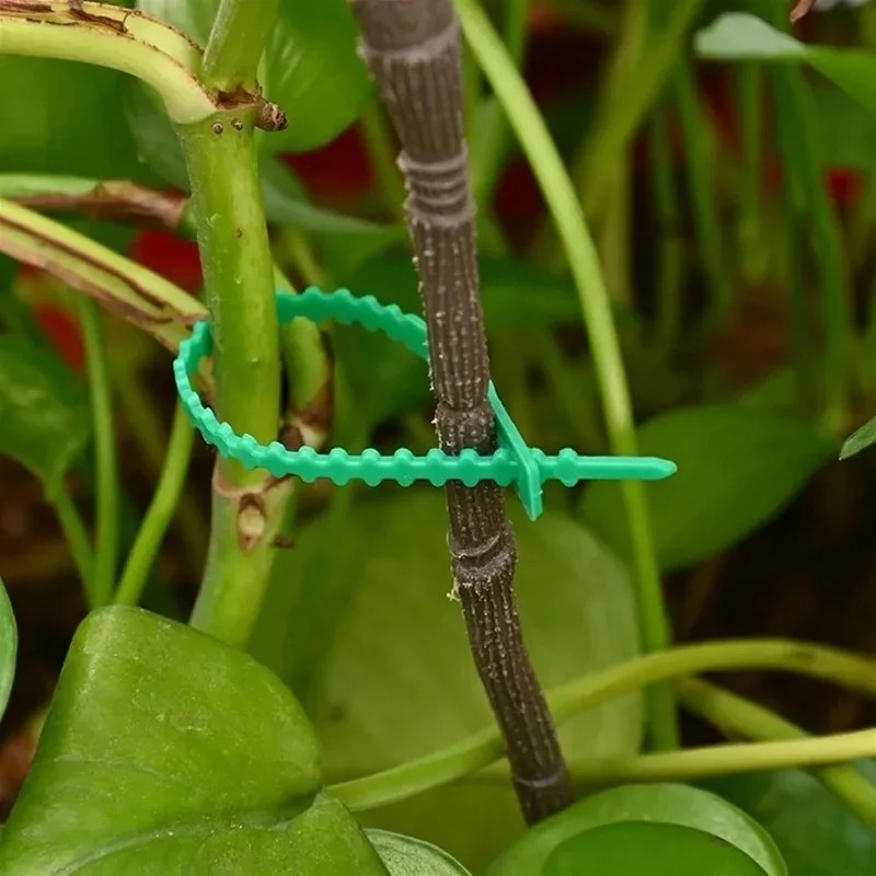 Wiederverwendbare Garten-Kabel – Smart Garden Storage Bewertung und Preis