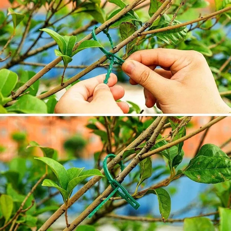 Wiederverwendbare Garten-Kabel – Smart Garden Storage Bewertung und Preis